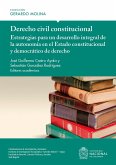 Derecho civil constitucional (eBook, ePUB)
