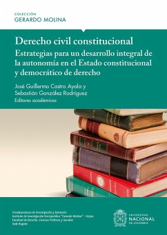 Derecho civil constitucional (eBook, ePUB) - Castro Ayala, José Guillermo; González Rodríguez, Sebastián