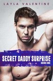 Secret Daddy Surprise (eBook, ePUB)