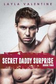 Secret Daddy Surprise (Book Two) (eBook, ePUB)