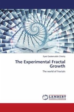 The Experimental Fractal Growth - Chishty, Syed Qadeeruddin