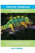 Panther Chameleon - Bild 1