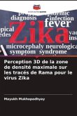 Perception 3D de la zone de densité maximale sur les tracés de Rama pour le virus Zika