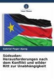 Südsudan: Herausforderungen nach dem Konflikt und wilder Ritt zur Unabhängigkeit