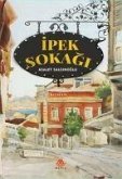 Ipek Sokagi