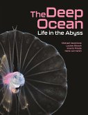 The Deep Ocean (eBook, PDF)