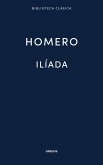 Ilíada (eBook, ePUB)