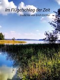 Im Flügelschlag der Zeit (eBook, ePUB)