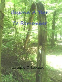 Cover Beyond A Year To Remember (eBook, ePUB)