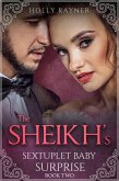 The Sheikh's Sextuplet Baby Surprise (Book Two) (eBook, ePUB)