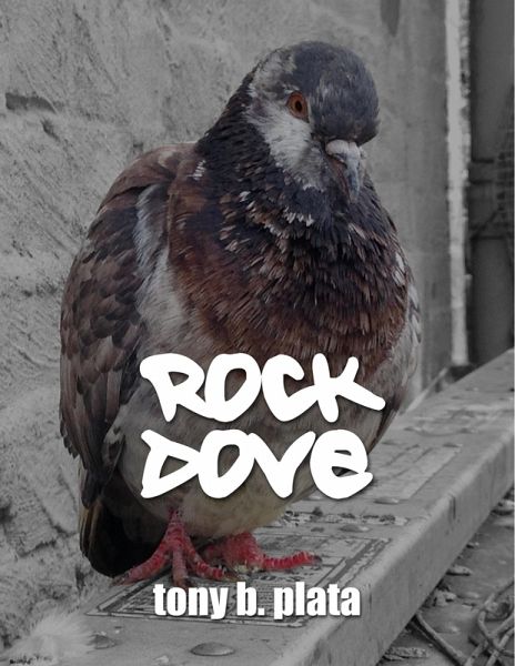 Rock Dove (eBook, ePUB)