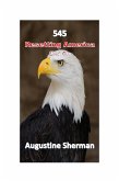 545 Resetting America Book One (eBook, ePUB)