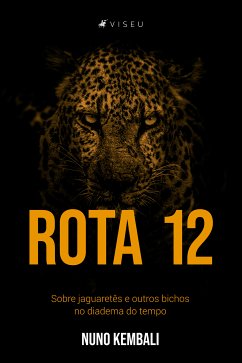 Rota 12 (eBook, ePUB) - Kembali, Nuno