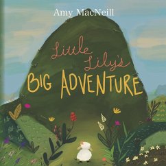 Little Lily's Big Adventure - MacNeill, Amy