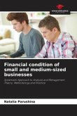 Financial condition of small and medium-sized businesses