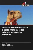 Performance di crescita e stato minerale del pelo del cammello Marecha