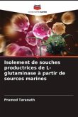 Isolement de souches productrices de L-glutaminase à partir de sources marines