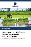 Reaktion von Tiefland-Reiskulturen auf Stickstoffgabe
