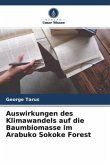 Auswirkungen des Klimawandels auf die Baumbiomasse im Arabuko Sokoke Forest