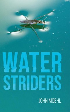 Water Striders - Moehl, John