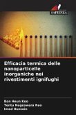 Efficacia termica delle nanoparticelle inorganiche nei rivestimenti ignifughi