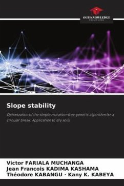 Slope stability - FARIALA MUCHANGA, Victor;KADIMA KASHAMA, Jean Francois;Kany K. KABEYA, Théodore KABANGU ·