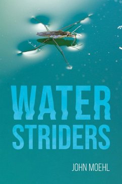 Water Striders (eBook, ePUB)