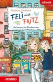 Feli & Fritz. Aufregung im Blaubeerweg. (eBook, ePUB)