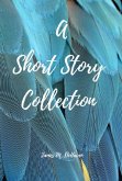 A Short Story Collection (eBook, ePUB)