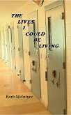 The Lives I Could Be Living (eBook, ePUB)