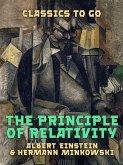 The Principle of Reality (eBook, ePUB)