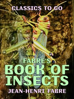 Cover Fabre's Book of Insects (eBook, ePUB)