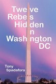 Twelve Rebels Hidden in Washington, DC (eBook, ePUB)