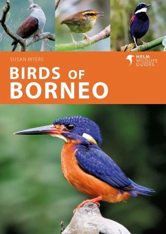 Birds of Borneo - Myers, Susan