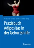 Praxisbuch Adipositas in der Geburtshilfe (eBook, PDF)