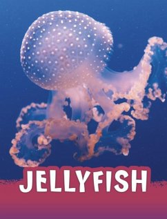Cover Jellyfish