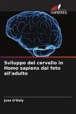 Sviluppo del cervello in Homo sapiens dal feto all'adulto