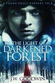 By The Light of a Darkened Forest