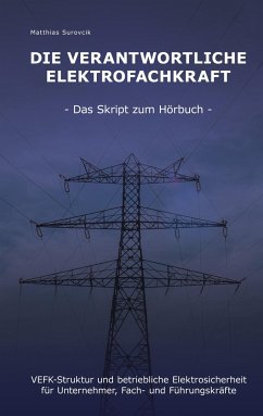 Die Verantwortliche Elektrofachkraft - Surovcik, Matthias