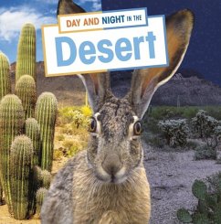 Cover Day and Night in the Desert