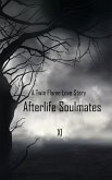 Afterlife Soulmates (eBook, ePUB)