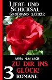 Zu dir ins Glück! Liebe & Schicksal Großband 3 Romane 3/2022 (eBook, ePUB)