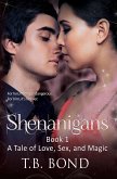 Shenanigans (Love, Sex, and Magic, #1) (eBook, ePUB)