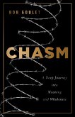 Chasm (eBook, ePUB)