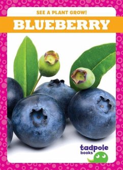 Blueberry - Sterling, Charlie W