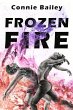 Frozen Fire - Bild 1