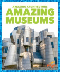 Cover Amazing Museums