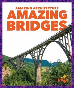Amazing Bridges - Amin, Anita Nahta