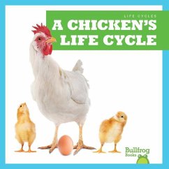 A Chicken's Life Cycle - Rice, Jamie