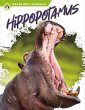 Hippopotamus - Bild 1